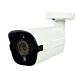 Kamera za video nadzor PNI IP818JS, POE